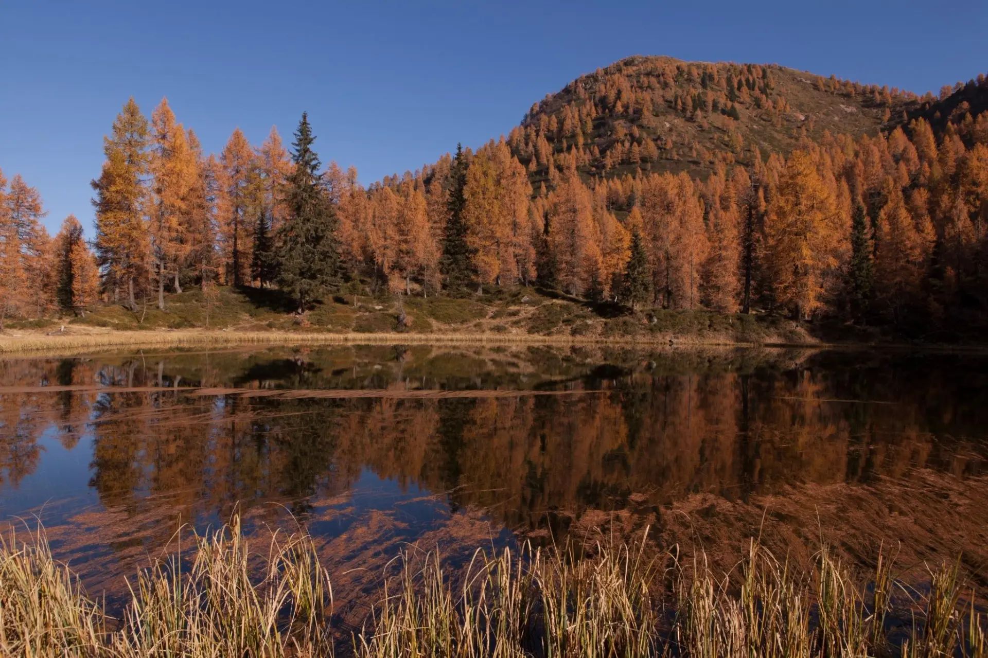 Autunno