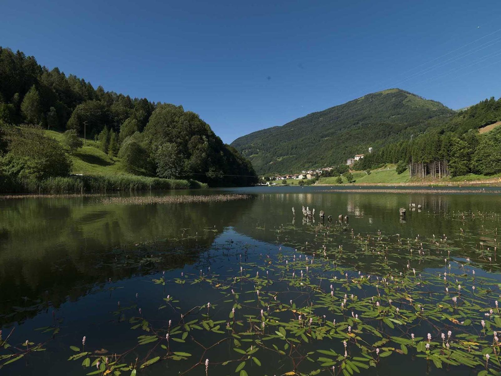 Green Hotel Genzianella Il territorio